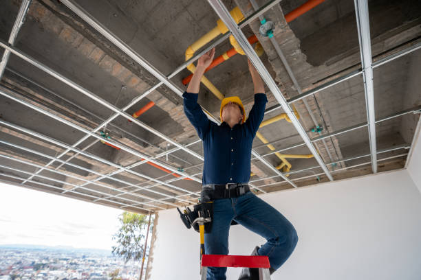 Best Sewer Line Repair  in Mount Pleasant, TX